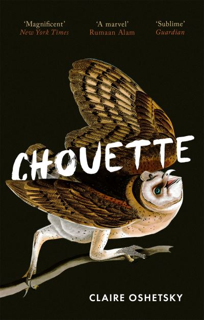 Cover for Claire Oshetsky · Chouette (Paperback Book) (2022)