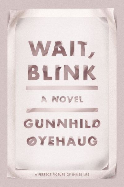 Cover for Gunnhild Oyehaug · Wait, Blink: A Perfect Picture of Inner Life (Hardcover Book) (2018)