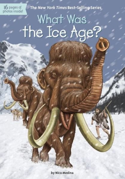 Cover for Nico Medina · What Was the Ice Age? (Paperback Bog) (2017)