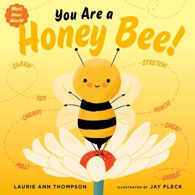 Cover for Laurie Ann Thompson · You Are a Honey Bee! - Meet Your World (Board book) (2024)