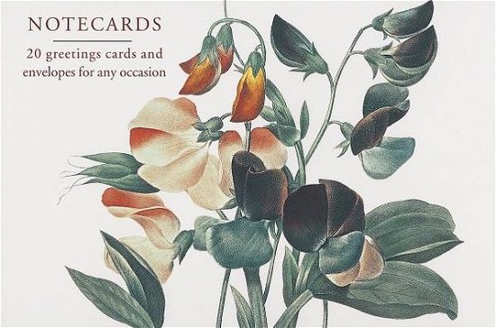 Cover for Peony Press · Card Box of 20 Notecards and Envelopes: Sweetpea (Flashcards) [Crds edition] (2016)