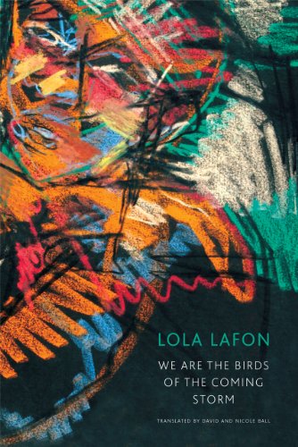 Cover for Lola Lafon · We Are the Birds of the Coming Storm - The French List (Hardcover Book) [Tra edition] (2014)