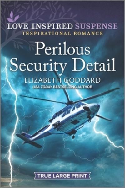 Cover for Elizabeth Goddard · Perilous Security Detail (Book) (2023)