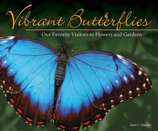Cover for Jaret C. Daniels · Vibrant Butterflies: Our Favorite Visitors to Flowers and Gardens - Nature Appreciation (Paperback Book) (2018)
