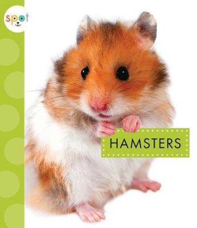 Cover for Mari Schuh · Hamsters (Paperback Book) (2018)