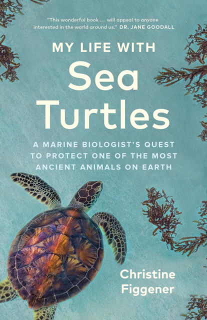 Cover for Christine Figgener · My Life with Sea Turtles: A Marine Biologist's Quest to Protect One of the Most Ancient Animals on Earth (Paperback Book) (2025)