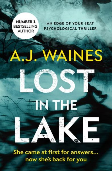 Lost In The Lake - A J Waines - Books - Bloodhound Books - 9781912604890 - October 25, 2018