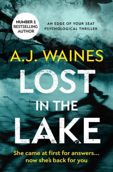 Cover for A J Waines · Lost In The Lake (Taschenbuch) (2018)