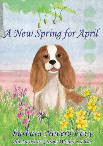 Cover for Barbara Novero Levy · A New Spring for April (Paperback Book) (2013)