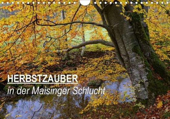 Cover for Frost · Herbstzauber in der Maisinger Sch (Bog)