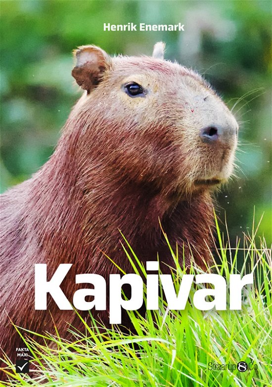 Cover for Henrik Enemark · Maxi: Kapivar (Hardcover bog) [1. udgave] (2024)