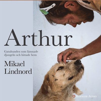 Cover for Val Hudson Mikael Lindnord · Arthur : gatuhunden som lämnade djungeln och hittade hem (Audiobook (MP3)) (2016)