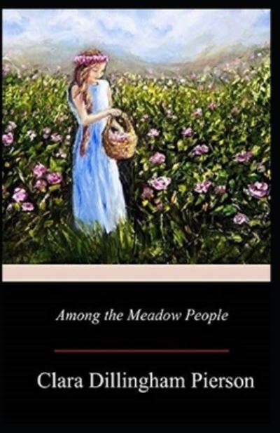 Among the Meadow People Illustrated - Clara Dillingham Pierson - Books - Independently Published - 9798736042890 - April 10, 2021