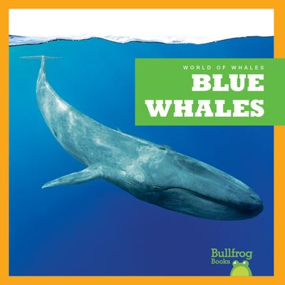 Cover for Eliza Leahy · Blue Whales - World of Whales (Hardcover Book) (2023)