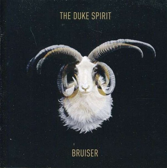 Cover for Duke Spirit · Bruiser (CD) (2011)
