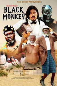 Cover for Feature Film · Return of Black Monkey (DVD) (2020)