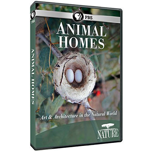 Cover for Nature: Animal Homes (DVD) (2015)