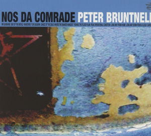 Nos Da Comrade - Peter Bruntnell - Musik - CADIZ -DOMESTICO RECORDS - 5029385840891 - 1. April 2016