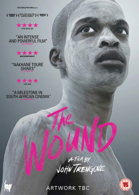 Cover for The Wound (DVD) (2018)