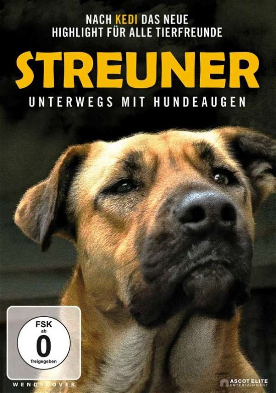 Cover for Elizabeth Lo · Streuner-unterwegs Mit Hundeaugen (DVD) (2021)