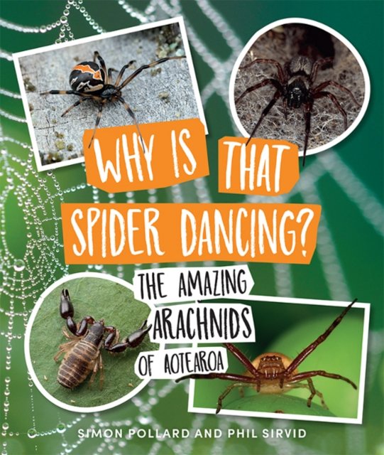 Cover for Dr. Simon Pollard · Why Is That Spider Dancing?: The Amazing Arachnids of Aotearoa (Paperback Book) (2021)