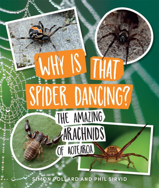 Cover for Dr. Simon Pollard · Why Is That Spider Dancing?: The Amazing Arachnids of Aotearoa (Paperback Book) (2021)