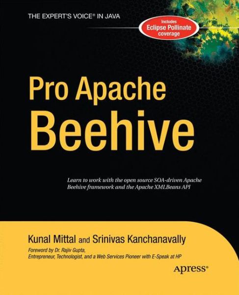 Pro Apache Beehive - Srinivas Kanchanavally - Kirjat - Springer-Verlag Berlin and Heidelberg Gm - 9781430211891 - tiistai 25. marraskuuta 2014