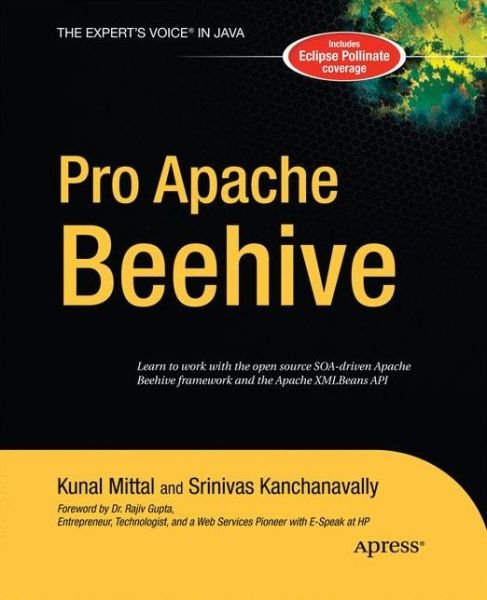 Pro Apache Beehive - Srinivas Kanchanavally - Bøker - Springer-Verlag Berlin and Heidelberg Gm - 9781430211891 - 25. november 2014