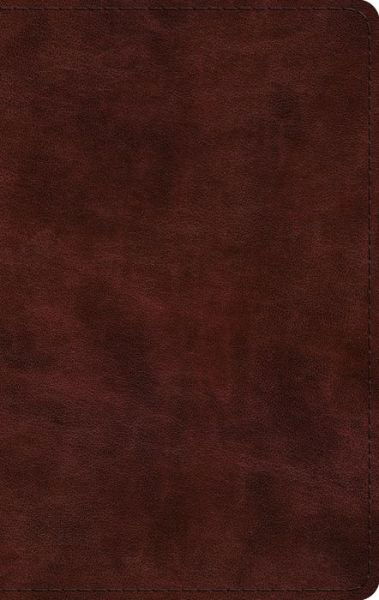 Cover for Esv · ESV Large Print Thinline Bible (Leather Book) (2021)