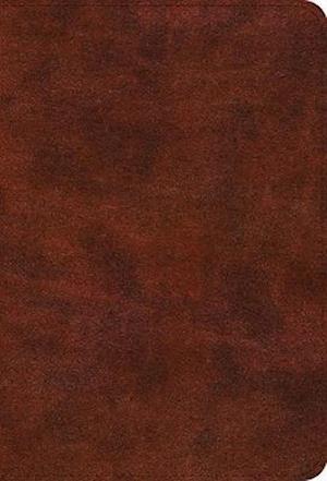 Cover for ESV Bible Promises: 700 Passages to Strengthen Your Faith (TruTone, Brown) (Leather Book) (2024)