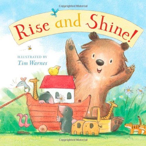 Cover for Public Domain · Rise and Shine! (Board book) [Brdbk edition] (2010)