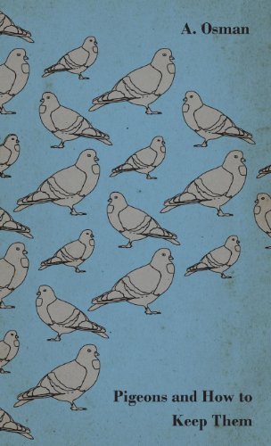 Cover for A. Osman · Pigeons and How to Keep Them (Hardcover Book) (2010)
