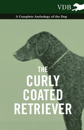 The Curly Coated Retriever - a Complete Anthology of the Dog - - V/A - Livres - Vintage Dog Books - 9781445525891 - 21 octobre 2010