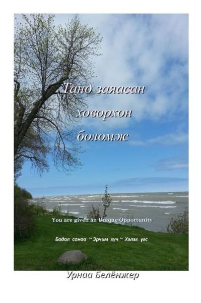 Cover for Uranchimeg Belanger · You Are Given an Unique Opportunity (Pocketbok) (2013)
