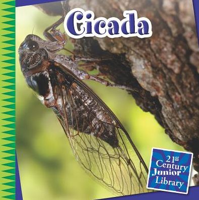 Cicada - Michael Shoulders - Książki - Cherry Lake Publishing - 9781633625891 - 1 sierpnia 2015