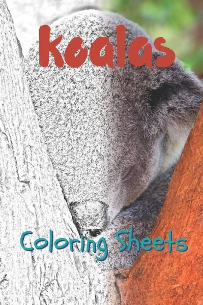 Cover for Julian Smith · Koala Coloring Sheets (Pocketbok) (2019)