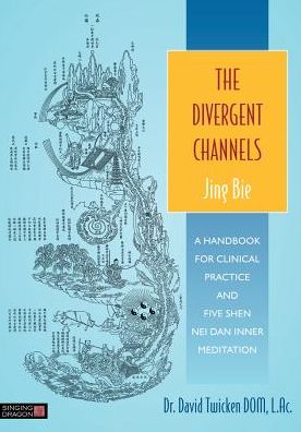 Cover for David Twicken · The Divergent Channels - Jing Bie: A Handbook for Clinical Practice and Five Shen Nei Dan Inner Meditation (Paperback Book) (2014)