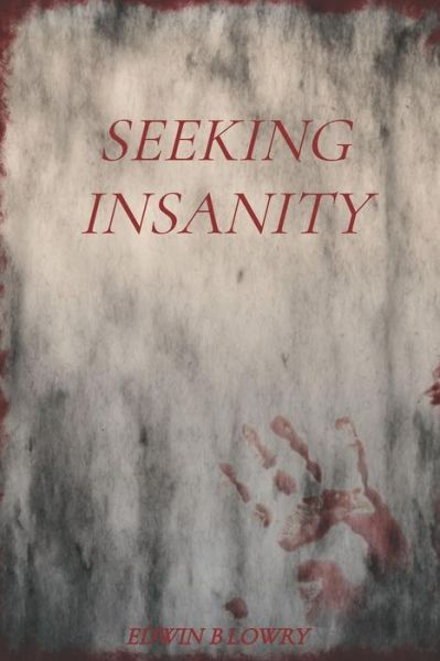 Cover for Edwin B Lowry · Seeking Insanity (Paperback Book) (2018)