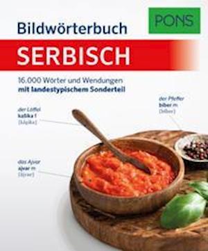 Cover for Anette Dralle · PONS Bildwörterbuch Serbisch (Paperback Book) (2021)