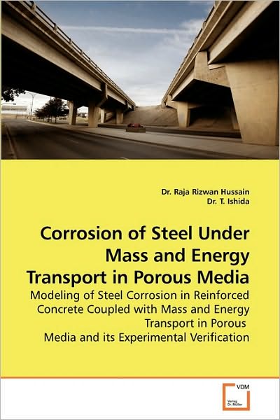 Cover for Dr Raja Rizwan Hussain · Corrosion of Steel Under Mass and Energy Transport in Porous Media (Paperback Book) (2010)