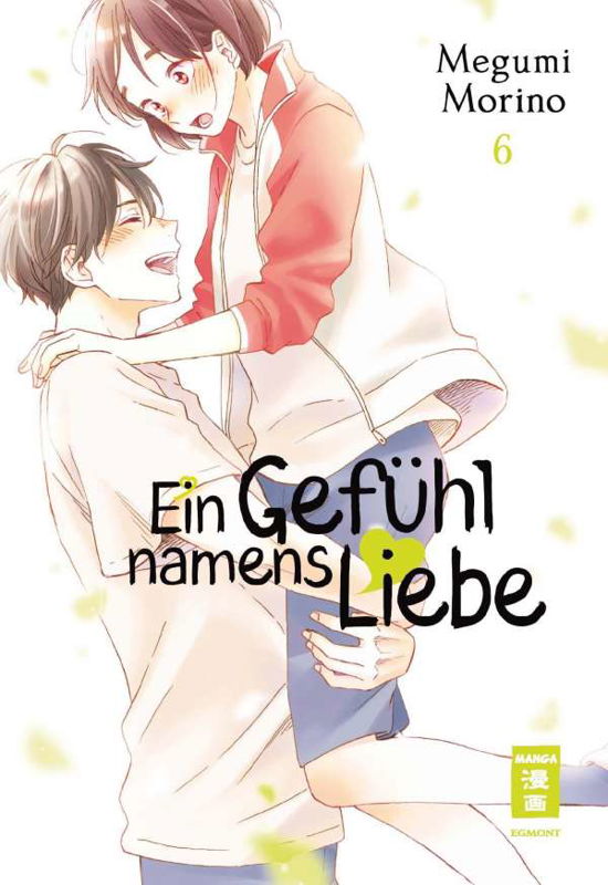 Cover for Megumi Morino · Ein Gefühl namens Liebe 06 (Taschenbuch) (2022)