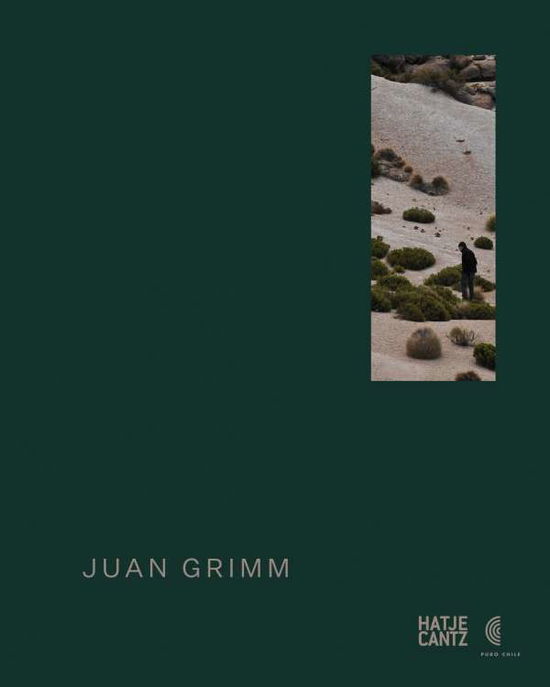 Cover for Juan Grimm (Hardcover Book) (2017)