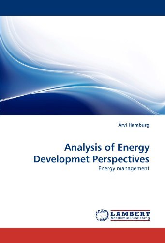 Cover for Arvi Hamburg · Analysis of Energy Developmet Perspectives: Energy Management (Pocketbok) (2010)