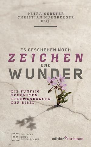 Cover for Petra Gerster · Es geschehen noch Zeichen und Wunder (Hardcover Book) (2019)