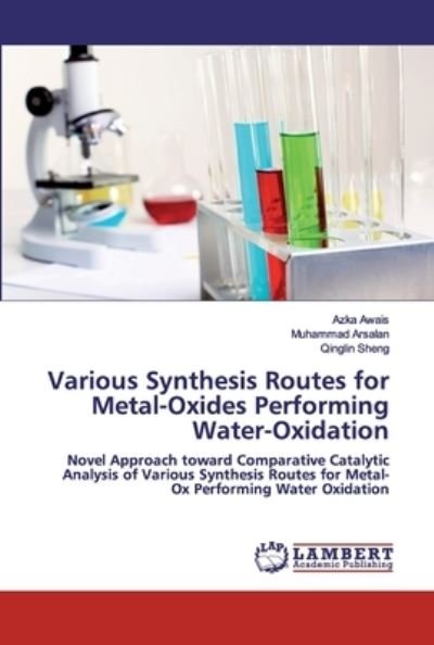 Cover for Awais · Various Synthesis Routes for Meta (Bog) (2020)