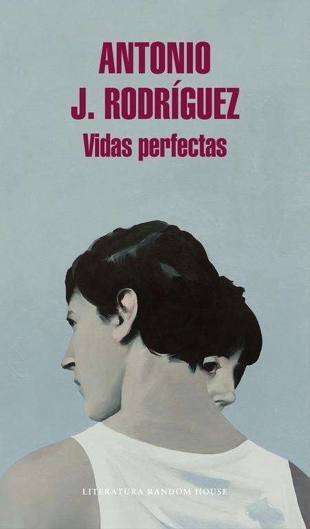 Cover for Rodríguez · Vidas perfectas (Bok)