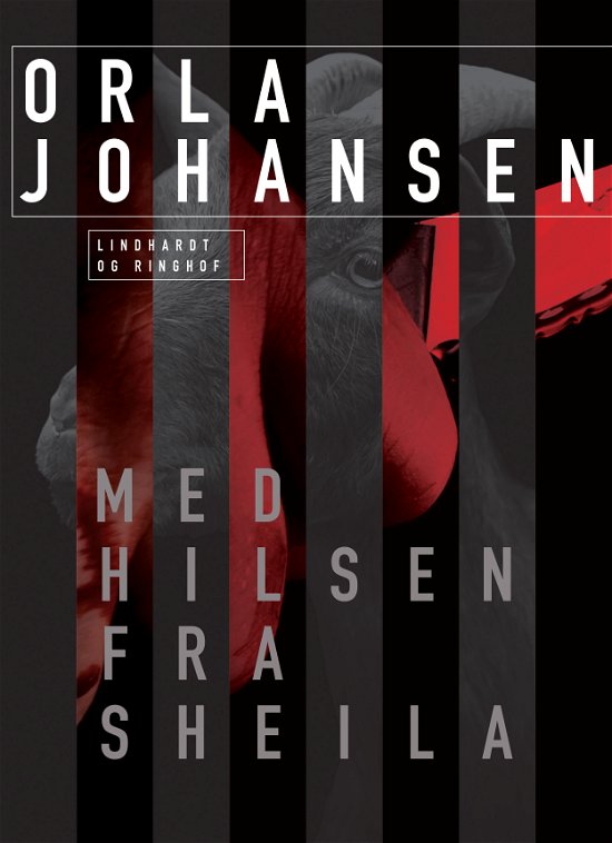 Cover for Orla Johansen · Med hilsen fra Sheila (Sewn Spine Book) [2e uitgave] (2023)