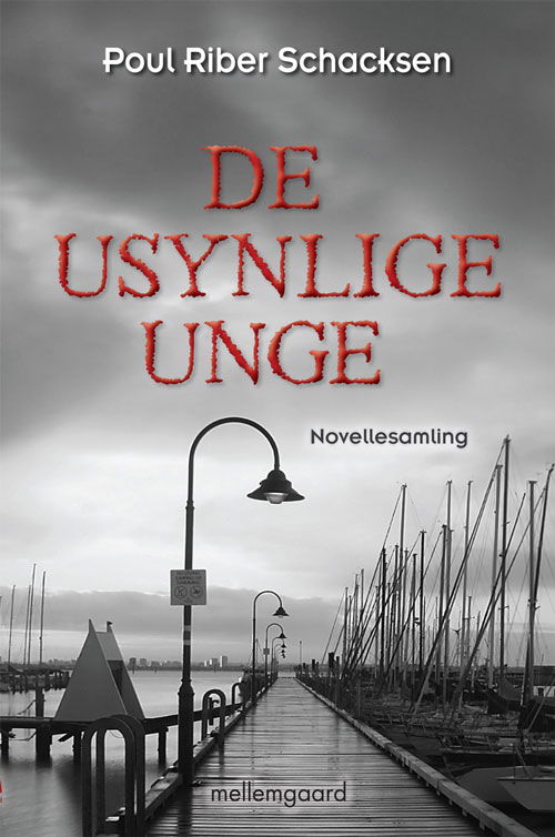 Cover for Poul Riber Schacksen · De usynlige unge (Sewn Spine Book) [1st edition] (2011)