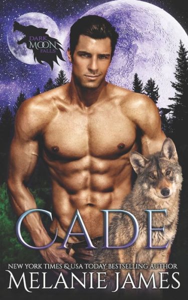 Dark Moon Falls - Melanie James - Books - Independently Published - 9798645361891 - May 12, 2020