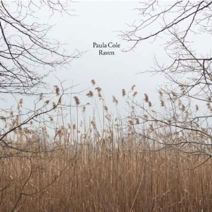 Cover for Paula Cole · Raven (LP) (2013)